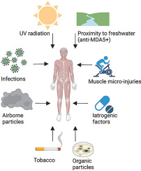 Environmental exposures as risk factors for idiopathic inflammatory myopathies