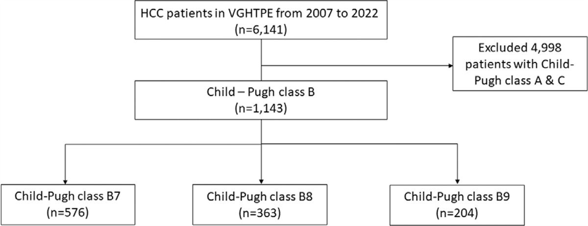 The outcomes and prognostic factors of patients with hepatocellular carcinoma and Child-Turcotte-Pugh class B