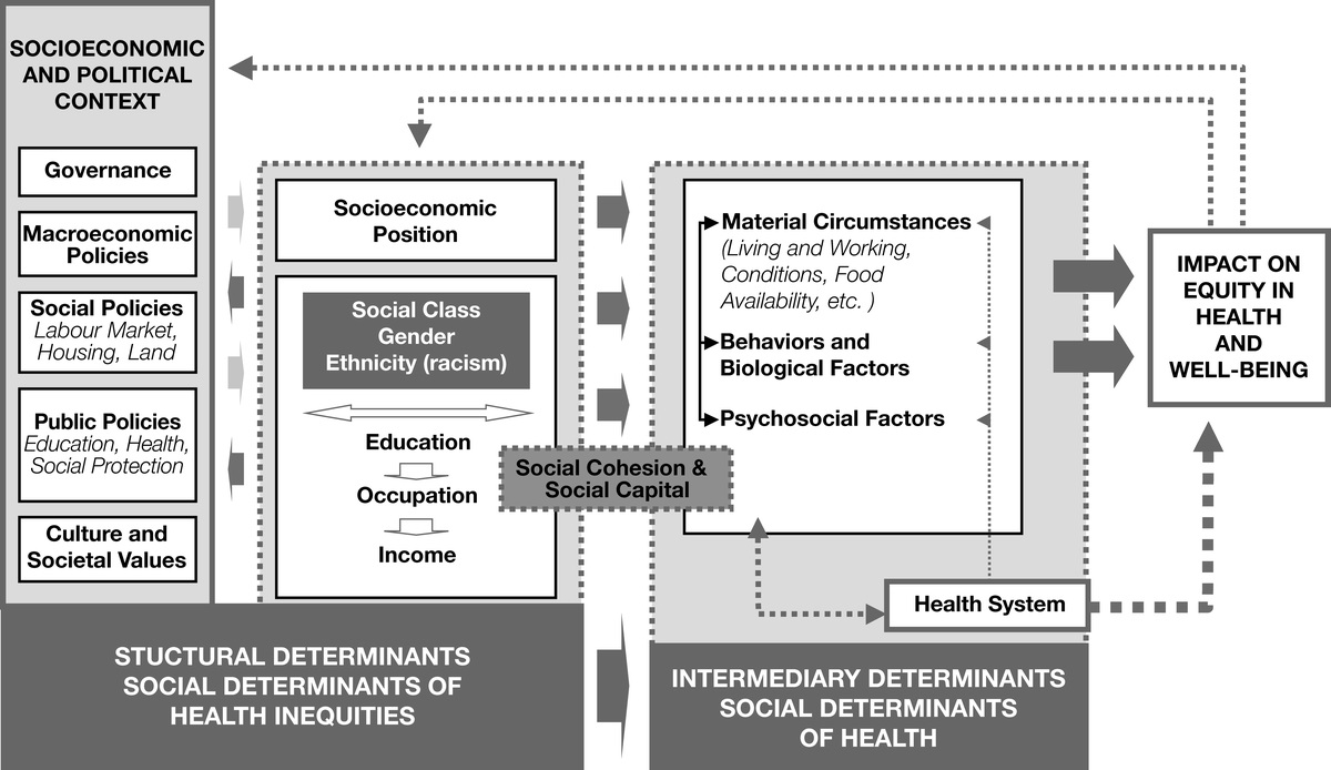 Applying a Social Determinants of Health Framework to Guide Digital Innovations That Reduce Disparities in Chronic Disease