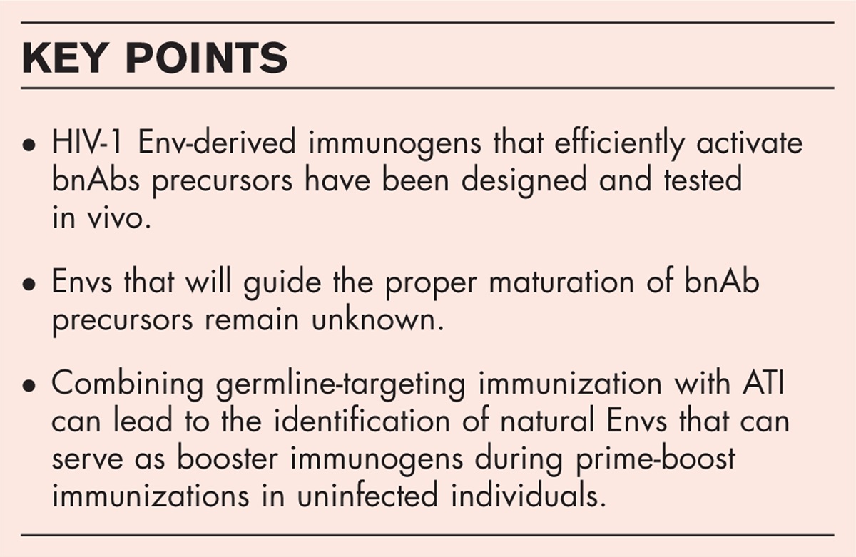 ‘Immunization during ART and ATI for HIV-1 vaccine discovery/development’