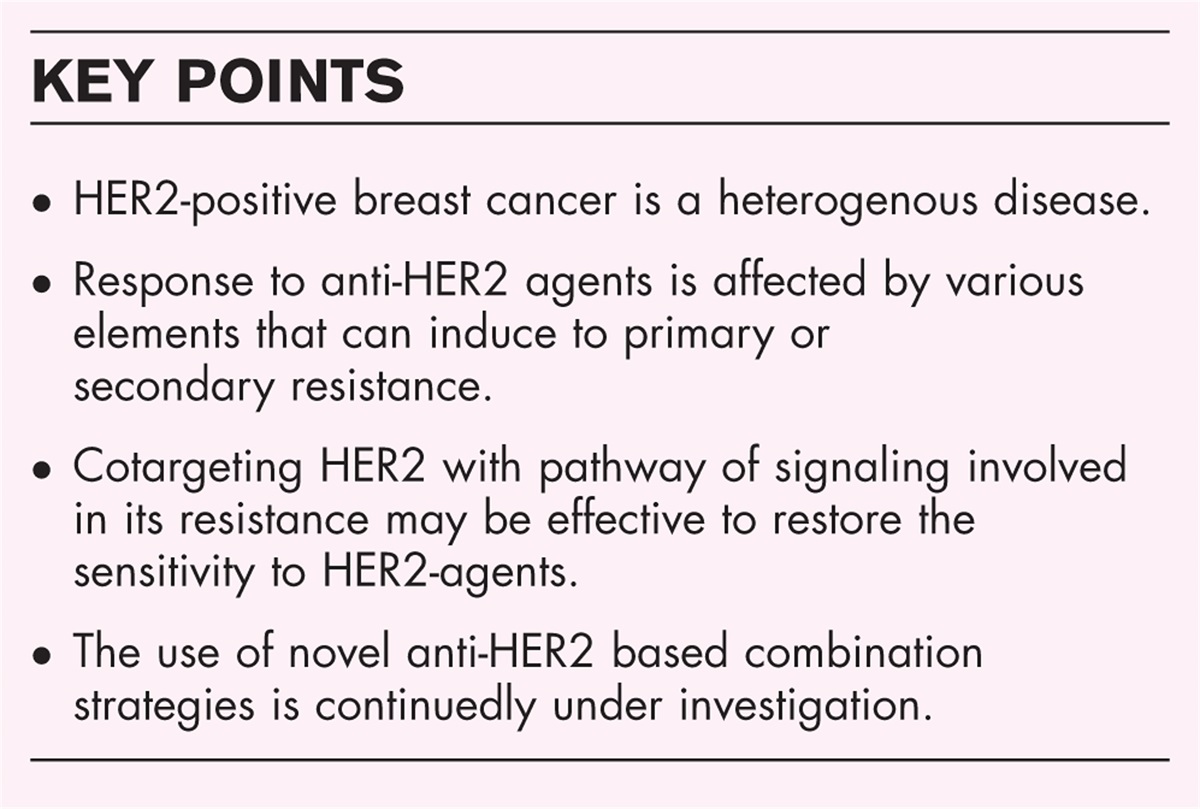 HER2-positive breast cancer: cotargeting to overcome treatment resistance