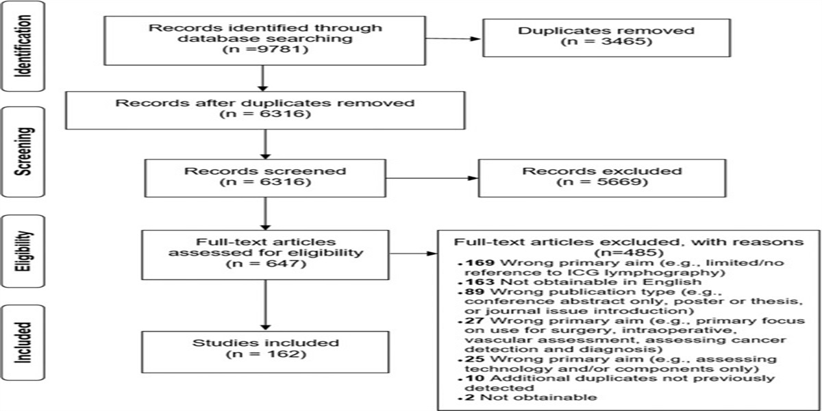 Indocyanine Green Lymphography in Conservative Lymphedema Therapy: A Scoping Review
