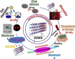 Trends and prospects of 2-D tungsten disulphide (WS2) hybrid nanosystems for environmental and biomedical applications