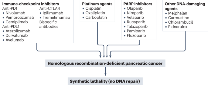 Therapeutic developments in pancreatic cancer
