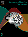 Neighborhood poverty during childhood prospectively predicts adolescent functional brain network architecture