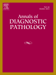 Xanthogranulomatous inflammation of the female genital tract: An 11-year single institutional study of 40 cases