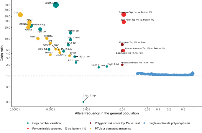 Genomic findings in schizophrenia and their implications