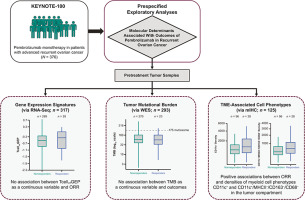 Molecular determinants of clinical outcomes of pembrolizumab in recurrent ovarian cancer: Exploratory analysis of KEYNOTE-100
