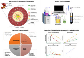 Critical aspects involved in lipid dispersion and digestion: Emphasis on in vitro models and factors influencing lipolysis of oral lipid based formulations