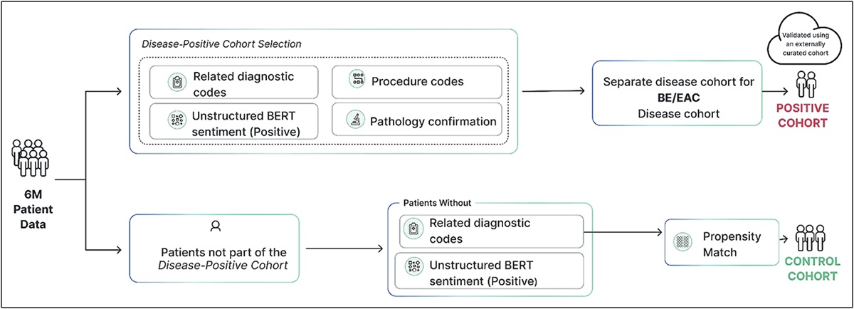 Development of Electronic Health Record-Based Machine Learning Models to Predict Barrett's Esophagus and Esophageal Adenocarcinoma Risk