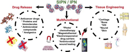 Weaving the next generation of (bio)materials: Semi-interpenetrated and interpenetrated polymeric networks for biomedical applications
