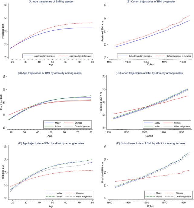 Body mass index and waist circumference trajectories across the life course and birth cohorts, 1996–2015 Malaysia: sex and ethnicity matter