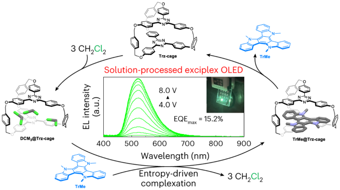 Entropy-driven charge-transfer complexation yields thermally activated delayed fluorescence and highly efficient OLEDs