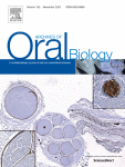 The effect of Jiaweidaochi powder on Th1/Th2 in rats with recurrent aphthous ulcer
