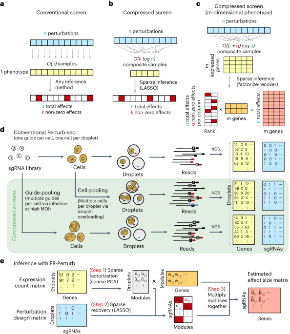Scalable genetic screening for regulatory circuits using compressed Perturb-seq