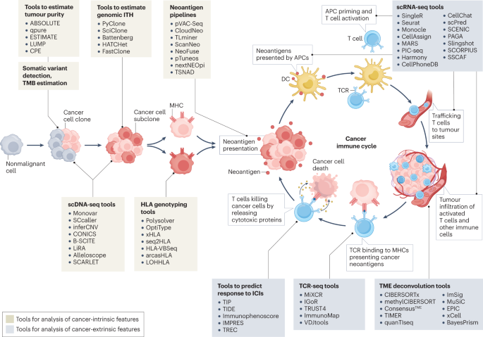 Computational immunogenomic approaches to predict response to cancer immunotherapies