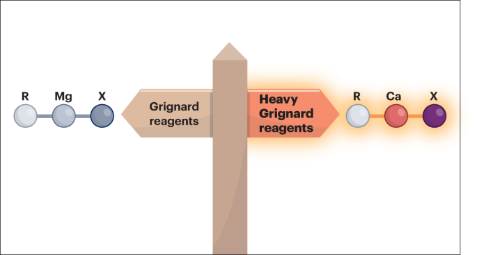 Opportunities with calcium Grignard reagents and other heavy alkaline-earth organometallics