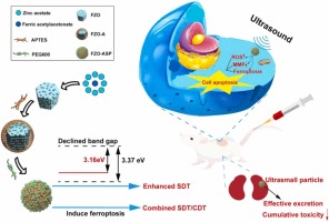 Ultrasmall iron-doped zinc oxide nanoparticles for ferroptosis assisted sono-chemodynamic cancer therapy