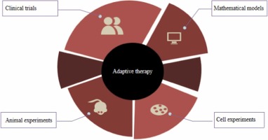 Adaptive therapy: a tumor therapy strategy based on Darwinian evolution theory