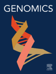 Liver transcriptomic and proteomic analyses provide new insight into the pathogenesis of liver fibrosis in mice