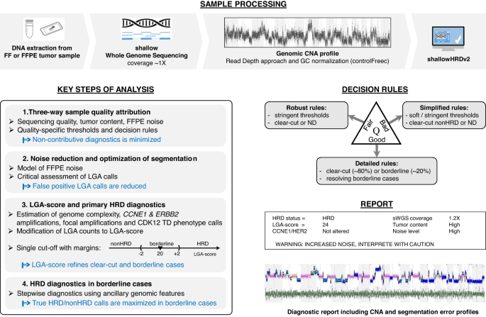 Shallow whole genome sequencing approach to detect Homologous Recombination Deficiency in the PAOLA-1/ENGOT-OV25 phase-III trial