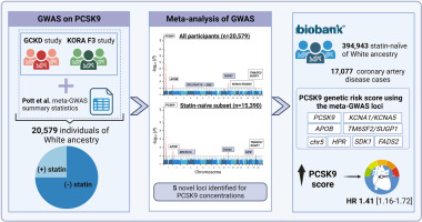Meta-GWAS on PCSK9 concentrations reveals associations of novel loci outside the PCSK9 locus in white populations