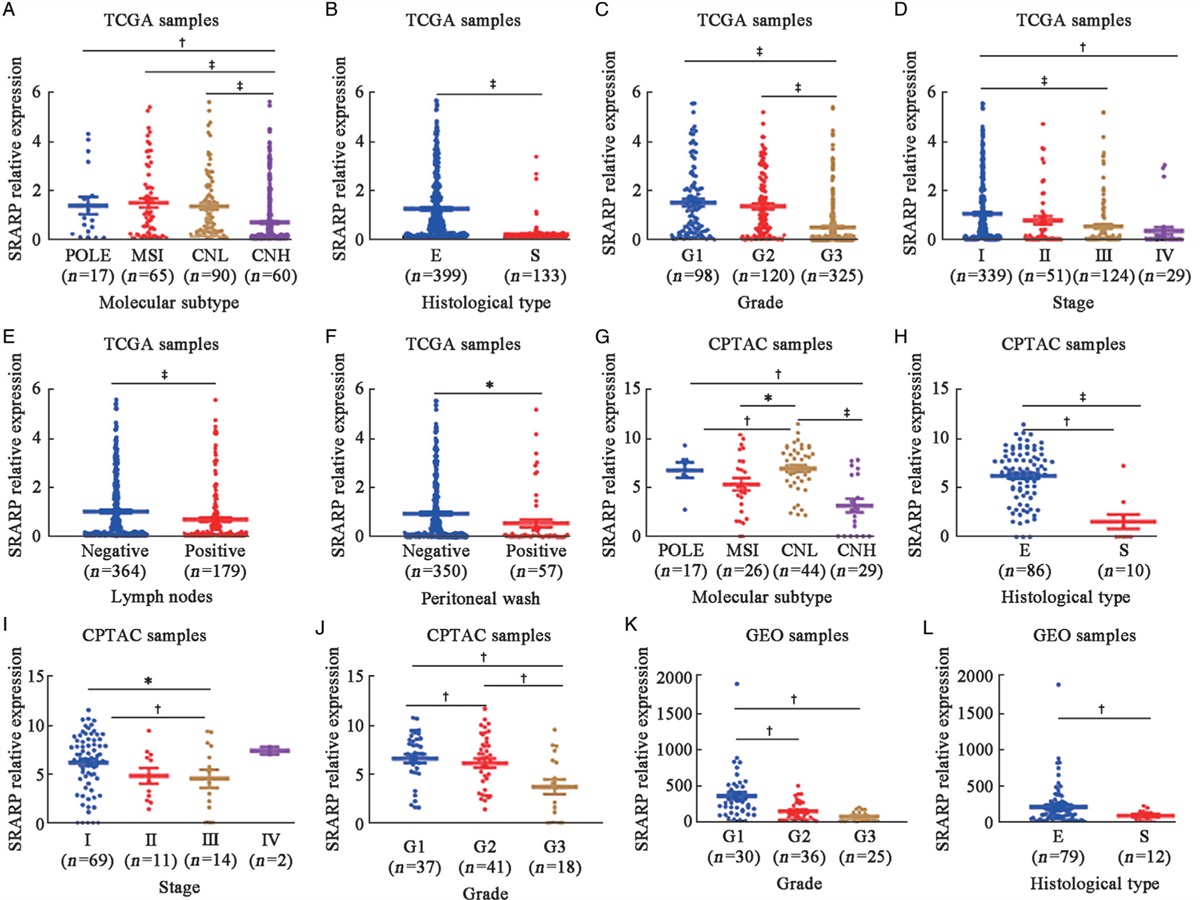 Role of steroid receptor-associated and regulated protein in tumor progression and progesterone receptor signaling in endometrial cancer