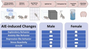 Adolescent Intermittent Ethanol Exposure Alters Adult Exploratory and Affective Behaviors, and Cerebellar Grin2B Expression in C57BL/6 J Mice
