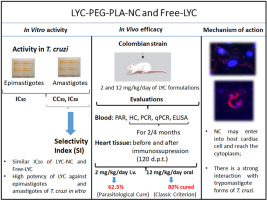 Lychnopholide loaded in surface modified polylactide nanocapsules (LYC-PLA-PEG-NC) cure mice infected by Trypanosoma cruzi strain a prototype of resistance to benznidazole and nifurtimox: First insights of its mechanism of action