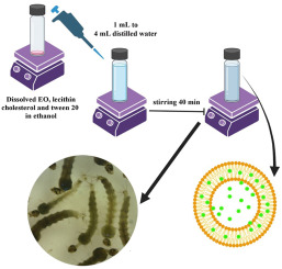Nanoliposomal Trachyspermum ammi (L) sprague essential oil for effective control of malaria mosquito larvae, Anopheles stephensi Liston