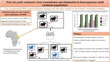 Modelling flock heterogeneity in the transmission of peste des petits ruminants virus and its impact on the effectiveness of vaccination for eradication