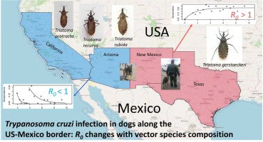 Trypanosoma cruzi infection in dogs along the US-Mexico border: R0 changes with vector species composition