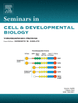 Thrombospondin-1 in vascular development, vascular function, and vascular disease