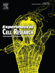 Corrigendum to “iPS-derived neural stem cells for disease modeling and evaluation of therapeutics for mucopolysaccharidosis type II” [Exp. Cell Res. 412, Issue 1, 1 March 2022, 113007]