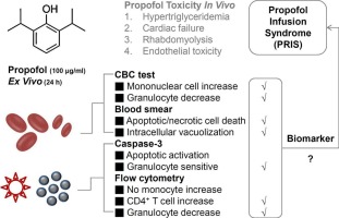 Overdose with the anesthetic propofol causes hematological cytotoxicity and immune cell alteration in an experimental ex vivo whole blood culture model