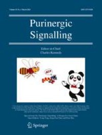 Purinergic system in cancer stem cells