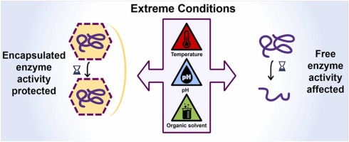 Potential utility of bacterial protein nanoreactor for sustainable in-situ biocatalysis in wide range of bioprocess conditions