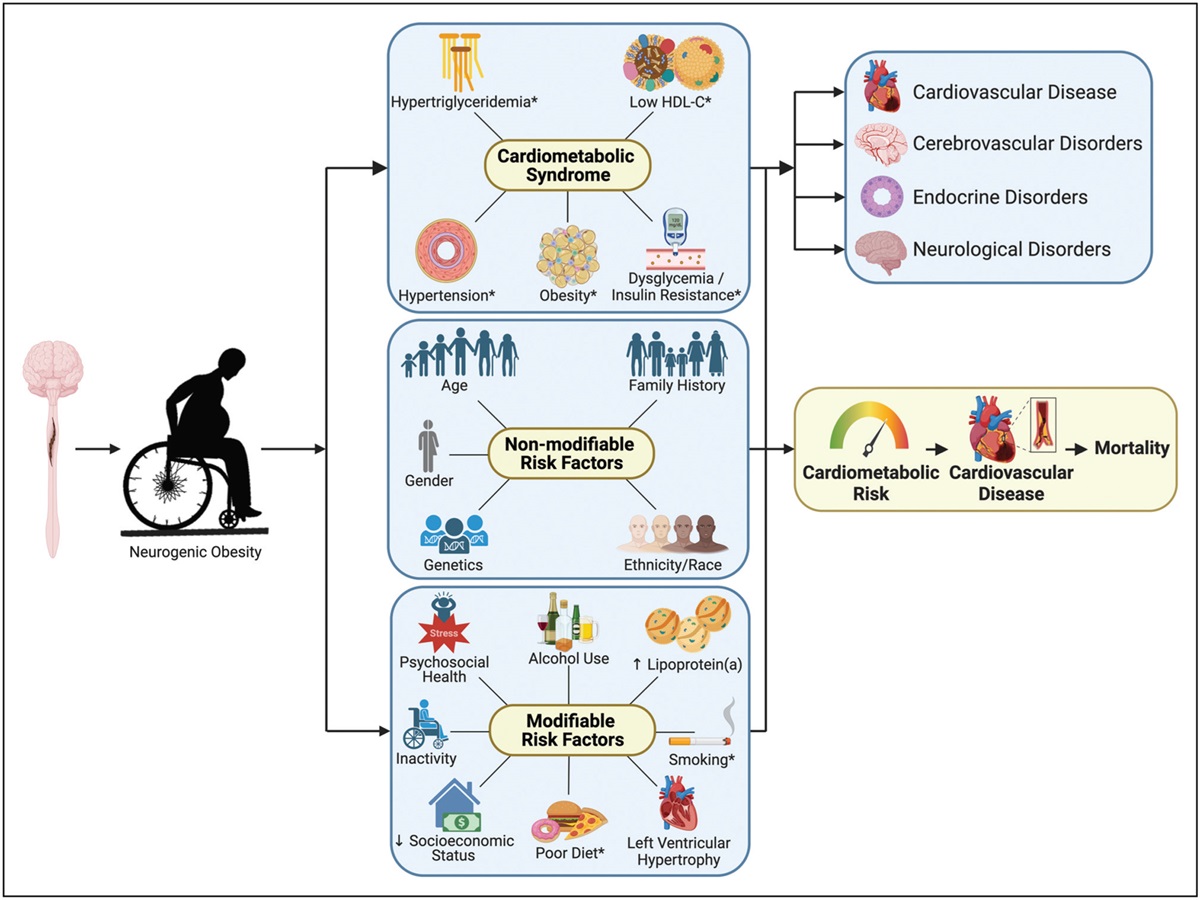 Assessing the efficacy of duration and intensity prescription for physical activity in mitigating cardiometabolic risk after spinal cord injury