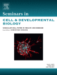 Immunogenic cell stress and death in the treatment of cancer