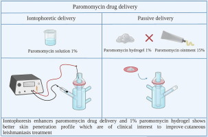 Enhanced topical paromomycin delivery for cutaneous leishmaniasis treatment: Passive and iontophoretic approaches