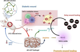 Injectable thermogel incorporating reactive oxygen species scavenger and nitric oxide donor to accelerate the healing process of diabetic wounds
