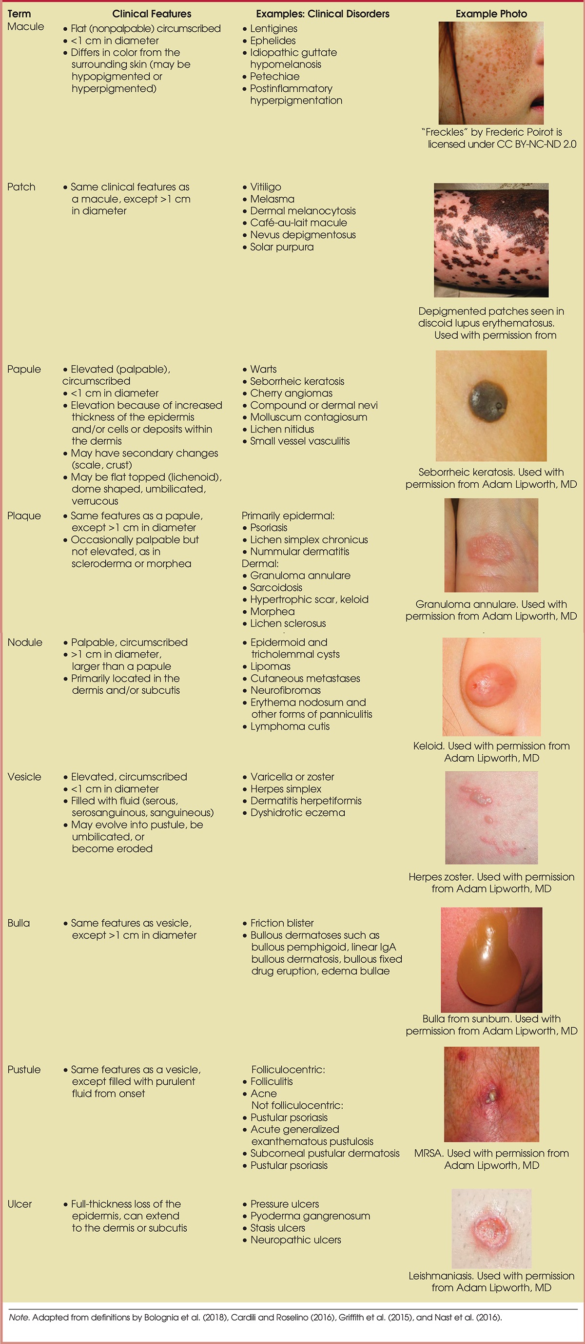 Describing Skin Lesions in Dermatology: A 2023 Update