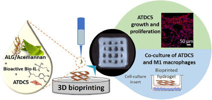 3D bioactive ionic liquid-based architectures: An anti-inflammatory approach for early-stage osteoarthritis
