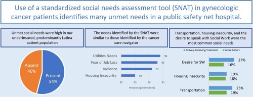 Integrating social care into gynecologic oncology: Identifying and addressing patient's social needs