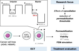 Negative effects of cancellation during nanosecond range High-Frequency calcium based electrochemotherapy in vitro