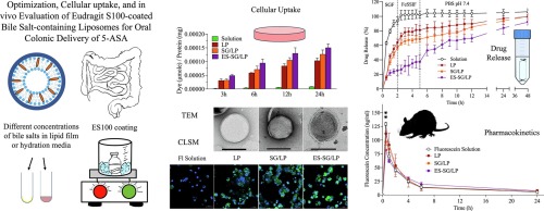 Optimization, cellular uptake, and in vivo evaluation of Eudragit S100-coated bile salt-containing liposomes for oral colonic delivery of 5-aminosalicylic acid