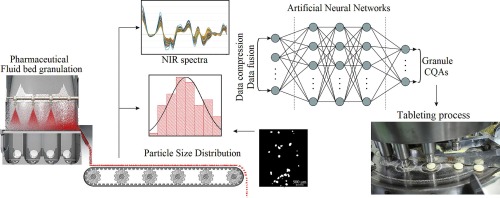 Development of a PAT platform for the prediction of granule tableting properties