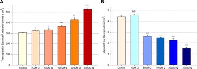 Quercetin improves and protects Calu-3 airway epithelial barrier function