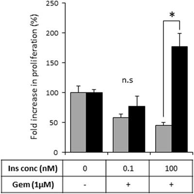 Heparanase contributes to pancreatic carcinoma progression through insulin-dependent glucose uptake
