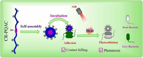 Croconaine conjugated cationic polymeric nanoparticles for NIR enhanced bacterial killing